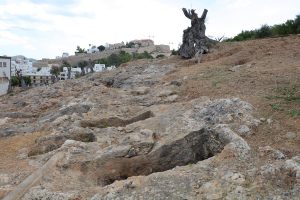 Museu Puig Molin